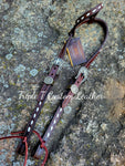 Chocolate Leather Headstall with White Buckstitch and Handmade Cactus Buckles