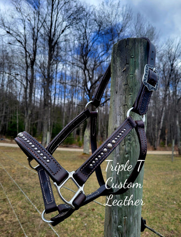 Chocolate Leather Halter with Antique Silver Studs