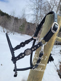Custom Lariat Nose Halter with Simple Concho Cheeks