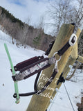 Custom Lariat Nose Halter with Inlay Cheeks