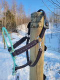 Turquoise Lariat Nose Halter with Chocolate Leather & Teal/Purple Colorshifting Buckstitch